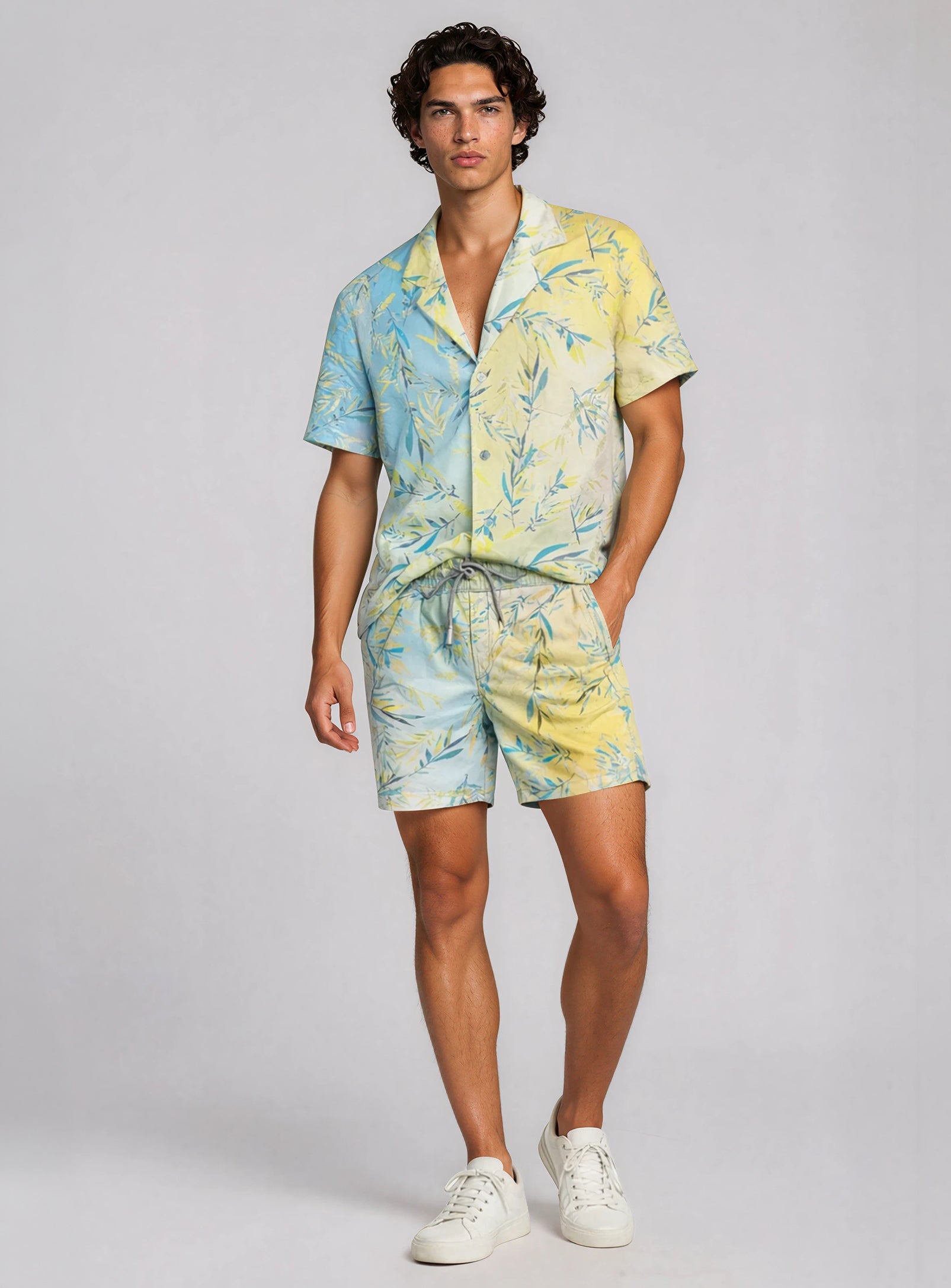 Sunflower||Tournesol