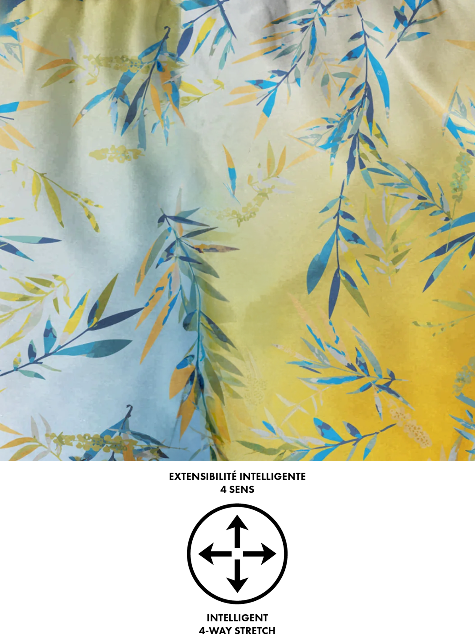 Sunflower||Tournesol