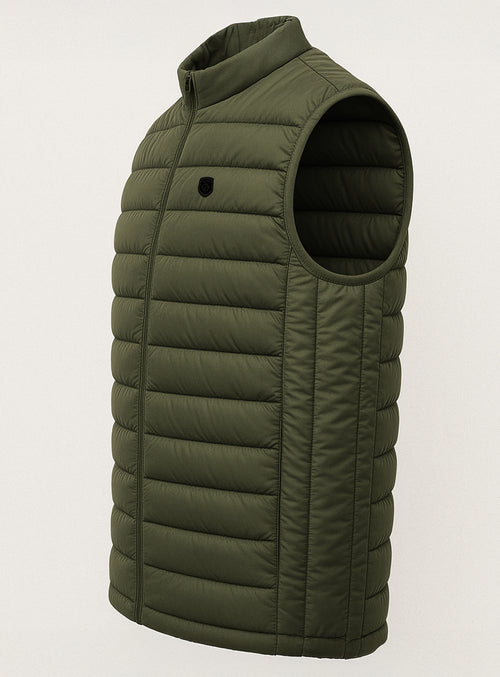 Olive||Olive