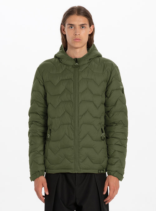 Olive||Olive