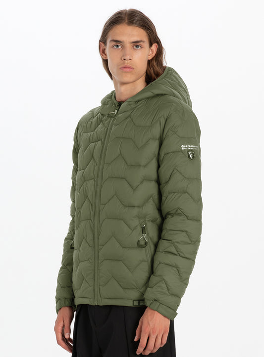 Olive||Olive