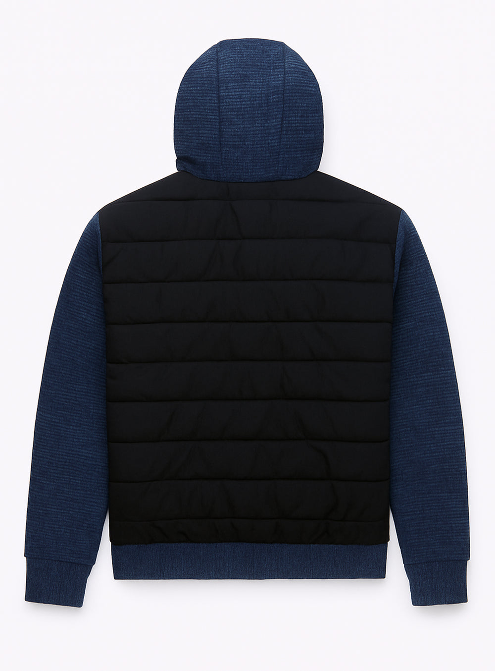 Navy||Marine