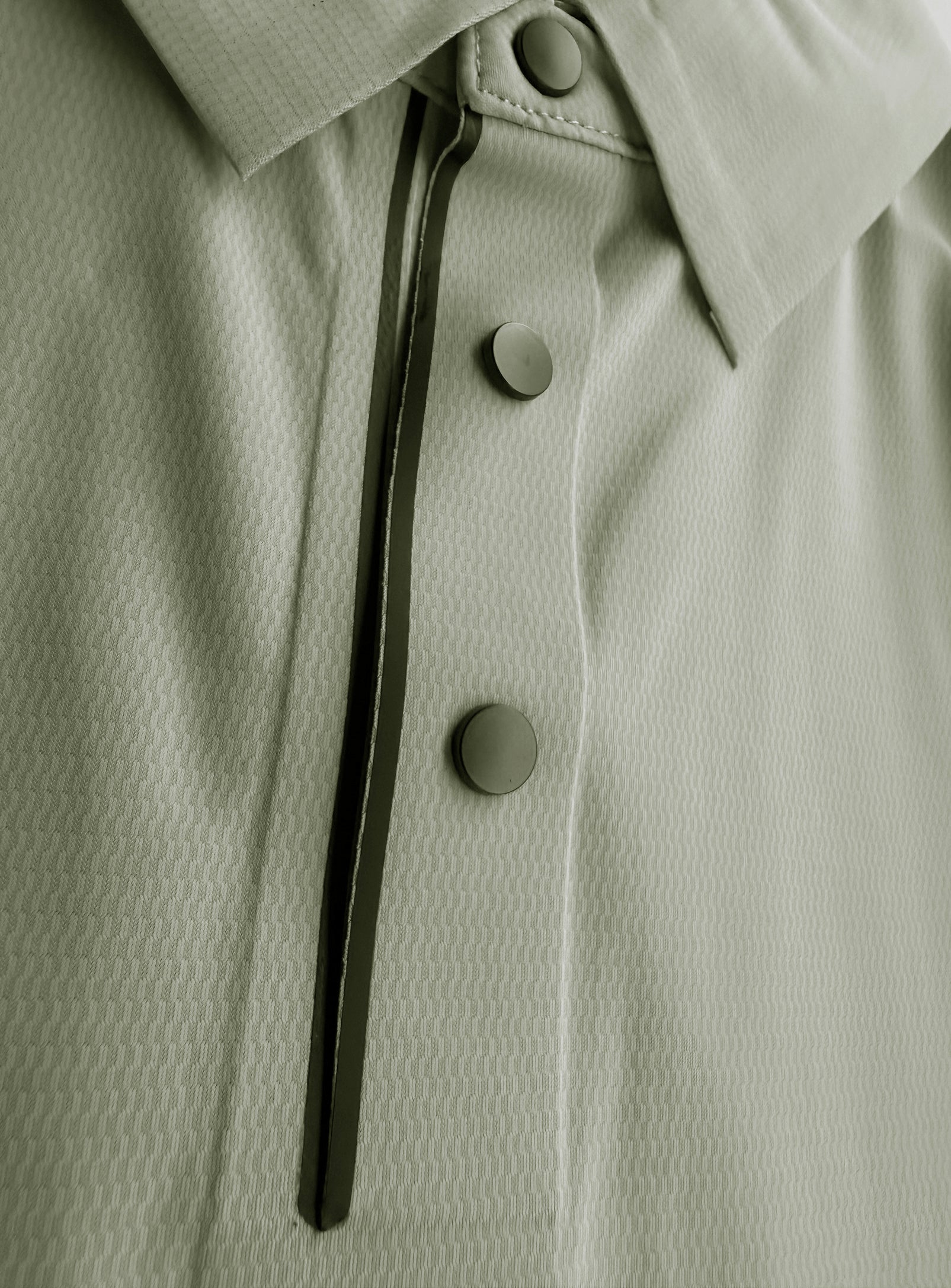 Light Olive||Olive Clair