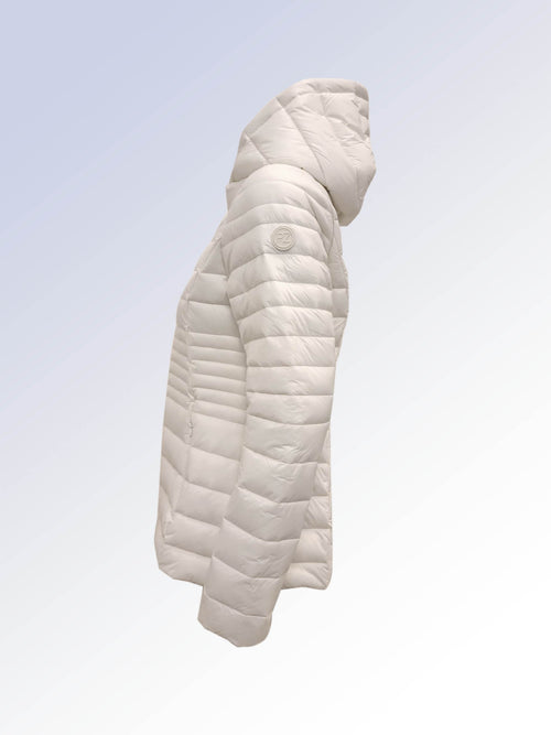 Bone||Os