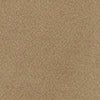 camel-swatch