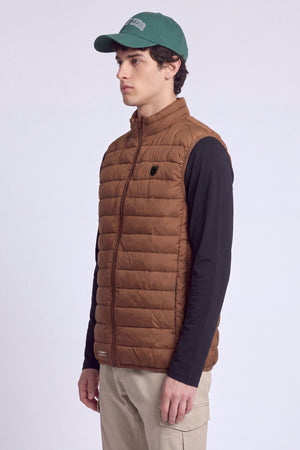 acorn-2