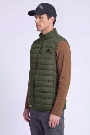 olive-2