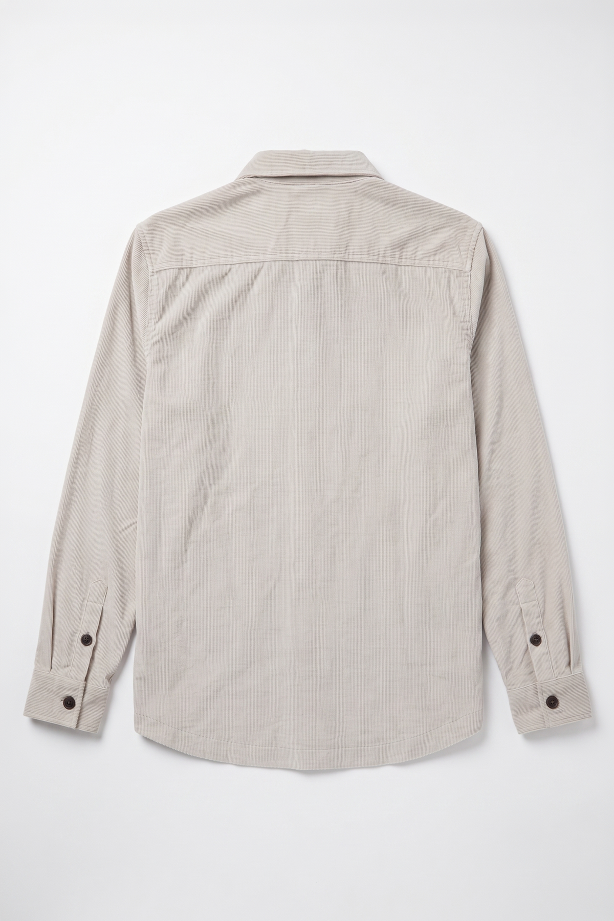 fossil-4