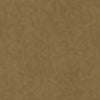 camel-swatch
