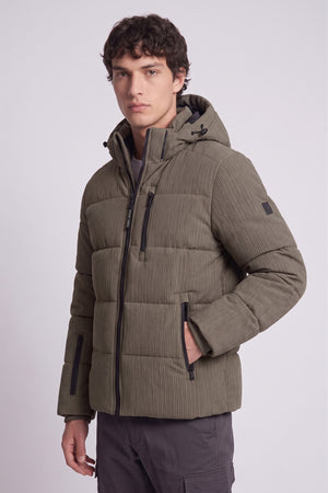 olive-2