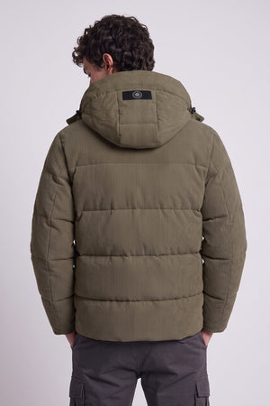 olive-3
