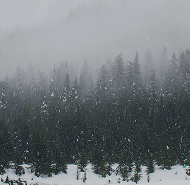 Our history – Point Zero