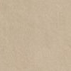 camel-swatch
