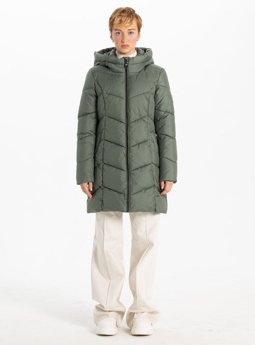 moss-1