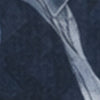 navy-swatch