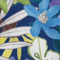 royal-swatch