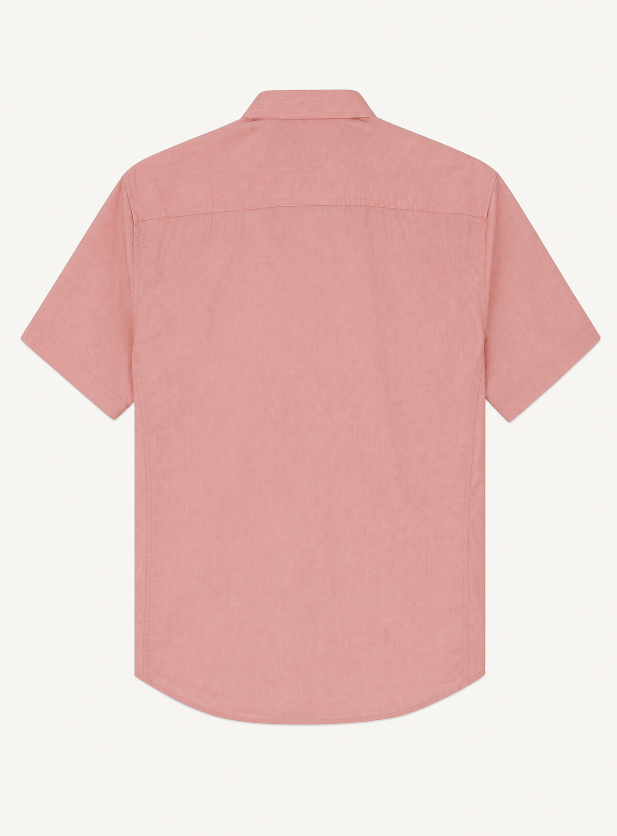 rosa-4