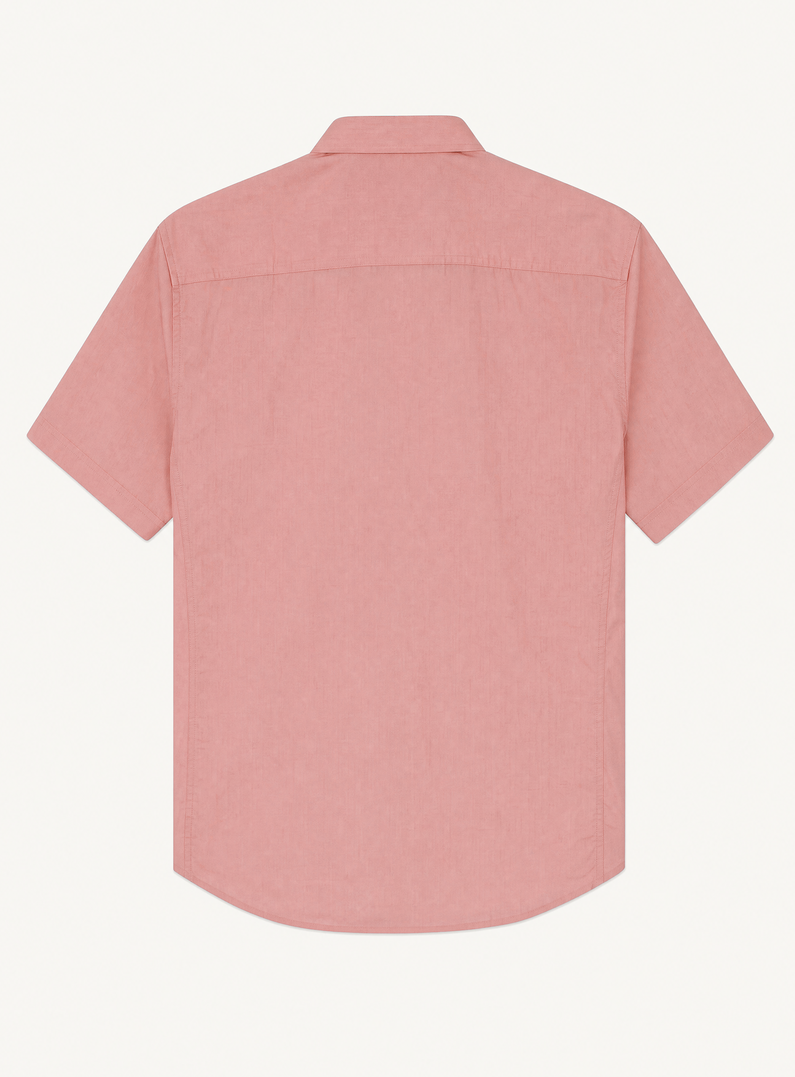 rosa-4