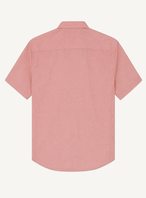 rosa-4