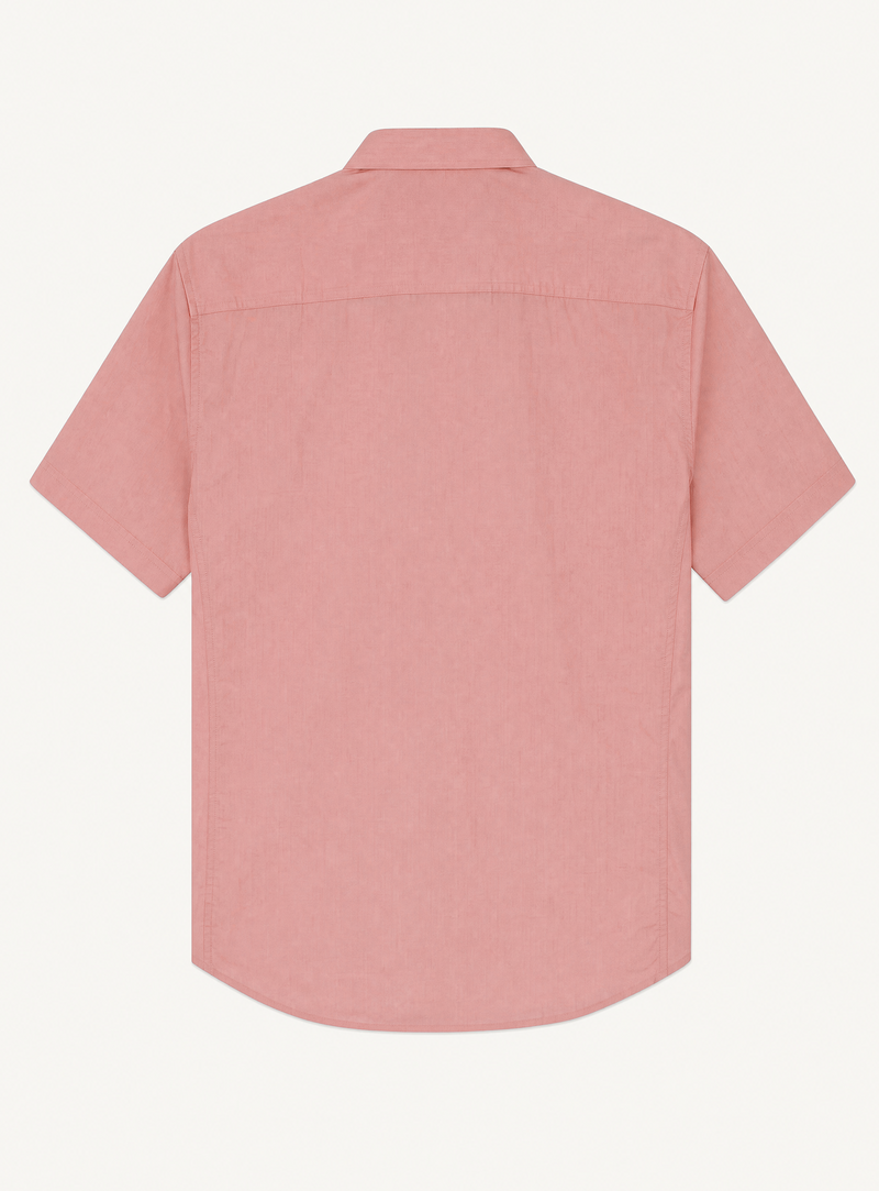 rosa-4