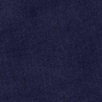 navy-swatch